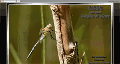 Desktop Screenshot of peglerbirding.blogspot.com