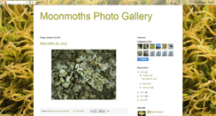 Desktop Screenshot of moonmoths.blogspot.com