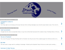 Tablet Screenshot of bruinswrestling.blogspot.com