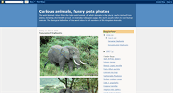 Desktop Screenshot of animals-photos.blogspot.com