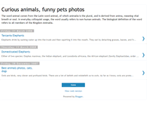 Tablet Screenshot of animals-photos.blogspot.com