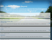 Tablet Screenshot of lifeafterbso.blogspot.com