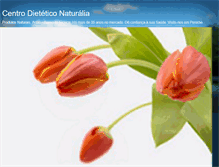 Tablet Screenshot of cdnaturalia.blogspot.com