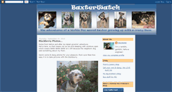 Desktop Screenshot of baxterwatch.blogspot.com