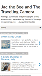 Mobile Screenshot of jacthebee.blogspot.com