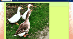 Desktop Screenshot of creamcrackerednature.blogspot.com