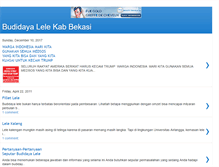 Tablet Screenshot of budidayalele-bekasi.blogspot.com