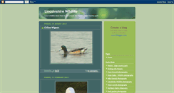 Desktop Screenshot of northernoptics.blogspot.com