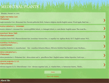 Tablet Screenshot of evergreenexports.blogspot.com