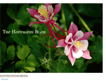 Tablet Screenshot of hoffmannblah.blogspot.com