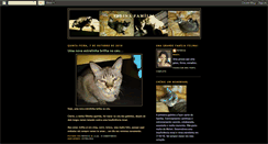 Desktop Screenshot of felinafamilia.blogspot.com