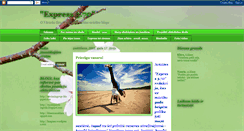 Desktop Screenshot of expressavize.blogspot.com