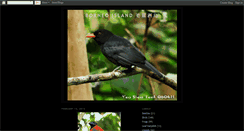 Desktop Screenshot of birderinborneo.blogspot.com