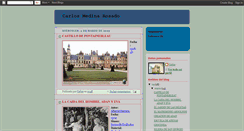 Desktop Screenshot of carlosmedinarosado.blogspot.com