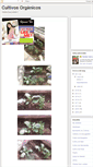 Mobile Screenshot of cultivoenmacetas.blogspot.com