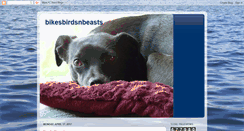 Desktop Screenshot of bikesbirdsnbeasts.blogspot.com
