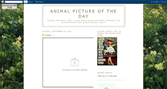 Desktop Screenshot of animalpictureoftheday.blogspot.com