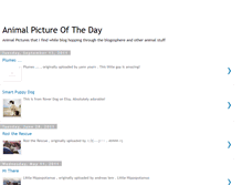 Tablet Screenshot of animalpictureoftheday.blogspot.com