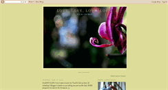 Desktop Screenshot of chewypolaroidcandy.blogspot.com