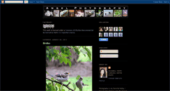 Desktop Screenshot of angelphotography.blogspot.com