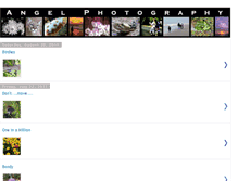 Tablet Screenshot of angelphotography.blogspot.com