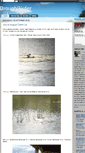 Mobile Screenshot of broughbirder.blogspot.com
