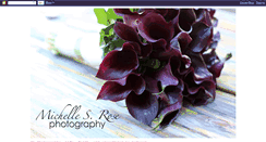 Desktop Screenshot of michellesrosephotography.blogspot.com