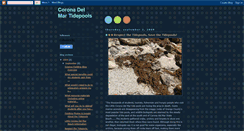 Desktop Screenshot of coronadelmartidepools.blogspot.com