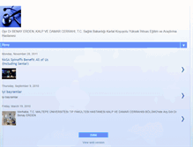 Tablet Screenshot of benayerden.blogspot.com