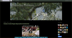 Desktop Screenshot of amazingborneo.blogspot.com