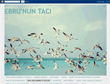 Tablet Screenshot of ebrununtaci.blogspot.com