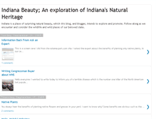 Tablet Screenshot of indianabeauty.blogspot.com