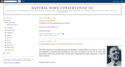 Desktop Screenshot of naturalbornconservative.blogspot.com