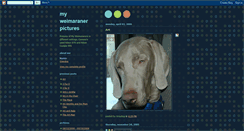 Desktop Screenshot of graydog1.blogspot.com