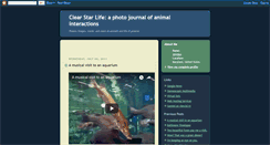 Desktop Screenshot of clearstar.blogspot.com