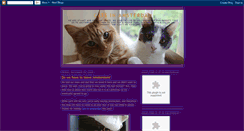 Desktop Screenshot of catsinamsterdam.blogspot.com