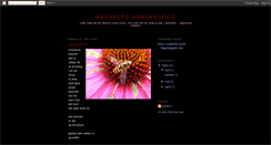 Desktop Screenshot of navneetsnorskblogg.blogspot.com