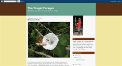 Desktop Screenshot of frugalforager.blogspot.com