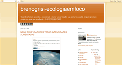Desktop Screenshot of ecologiaemfoco.blogspot.com