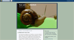 Desktop Screenshot of migranjadecaracoles.blogspot.com