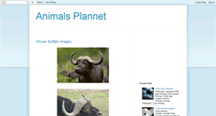 Desktop Screenshot of animalsplannet.blogspot.com