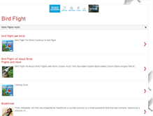 Tablet Screenshot of bird-flight.blogspot.com