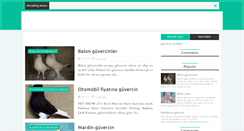 Desktop Screenshot of guvercinvekeklik.blogspot.com