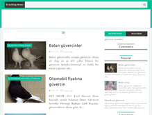 Tablet Screenshot of guvercinvekeklik.blogspot.com
