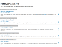 Tablet Screenshot of hattaylorlabsnews.blogspot.com
