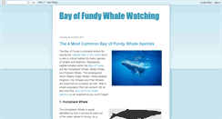 Desktop Screenshot of bayoffundywhales.blogspot.com