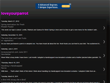 Tablet Screenshot of loveyourparrot.blogspot.com