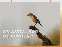 Tablet Screenshot of anilladorderipollet.blogspot.com