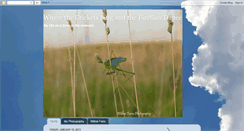 Desktop Screenshot of dancingfireflies-jody.blogspot.com
