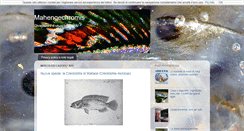 Desktop Screenshot of mahengechromis.blogspot.com